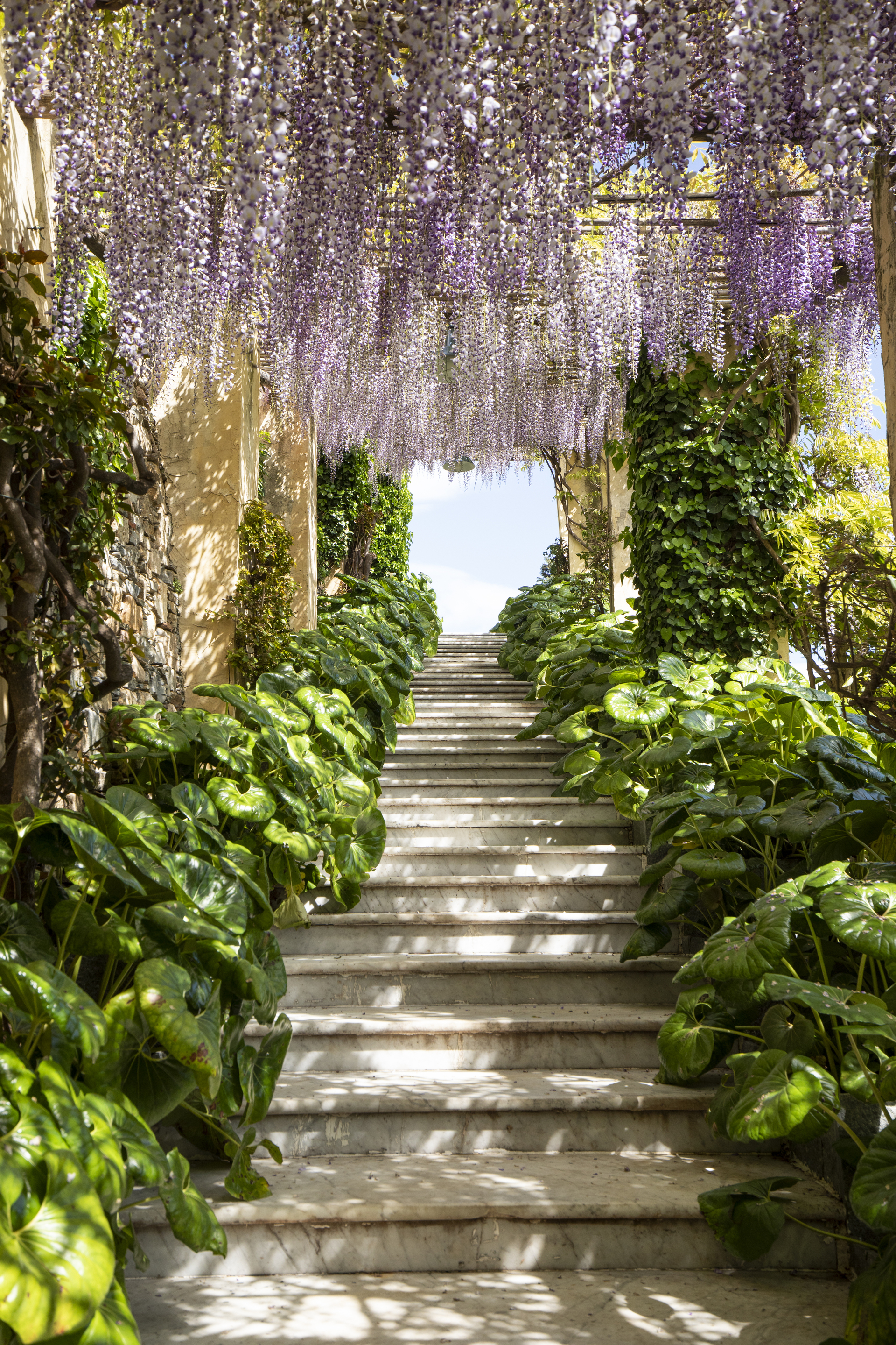 Giardini di Villa della Pergola, ph. Matteo Carassale
