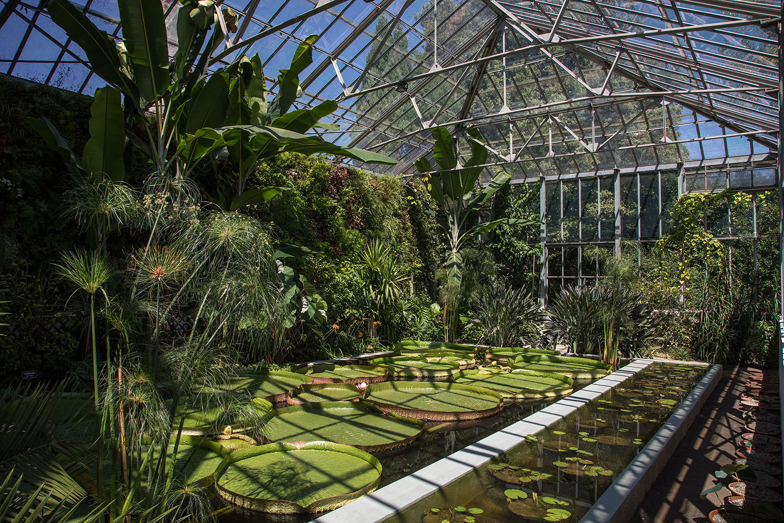 �Giardini Botanici di Villa Taranto