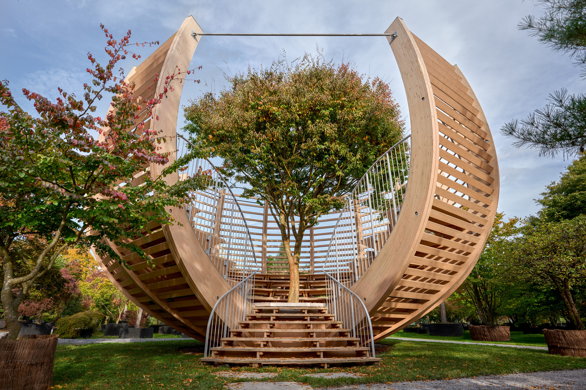 �Enea Tree Museum