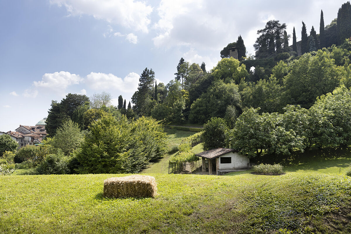 Lorenzo Cicconi Massi, Archivio Fondo Ambiente Italiano