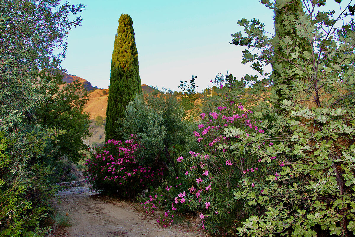 � Archivio Grandi Giardini Italiani