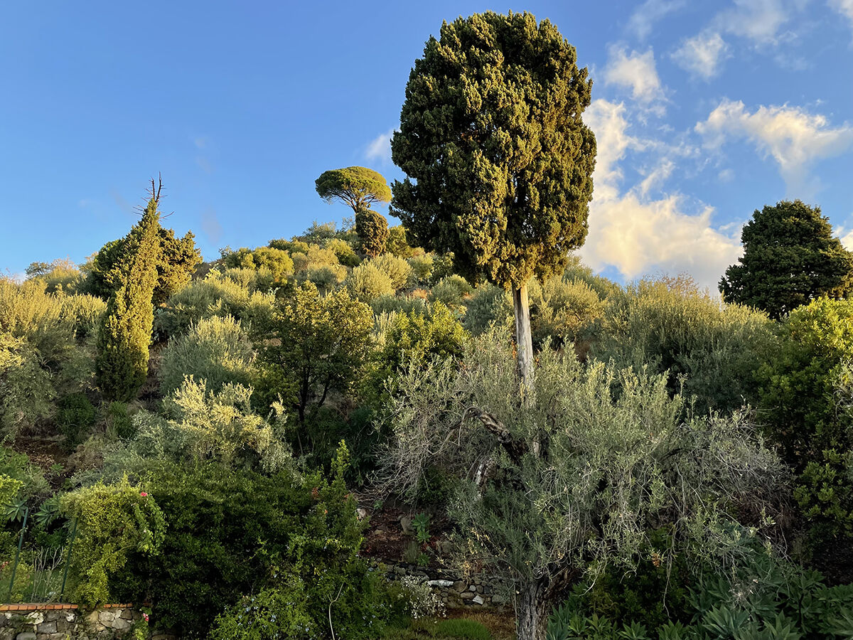 � Archivio Grandi Giardini Italiani