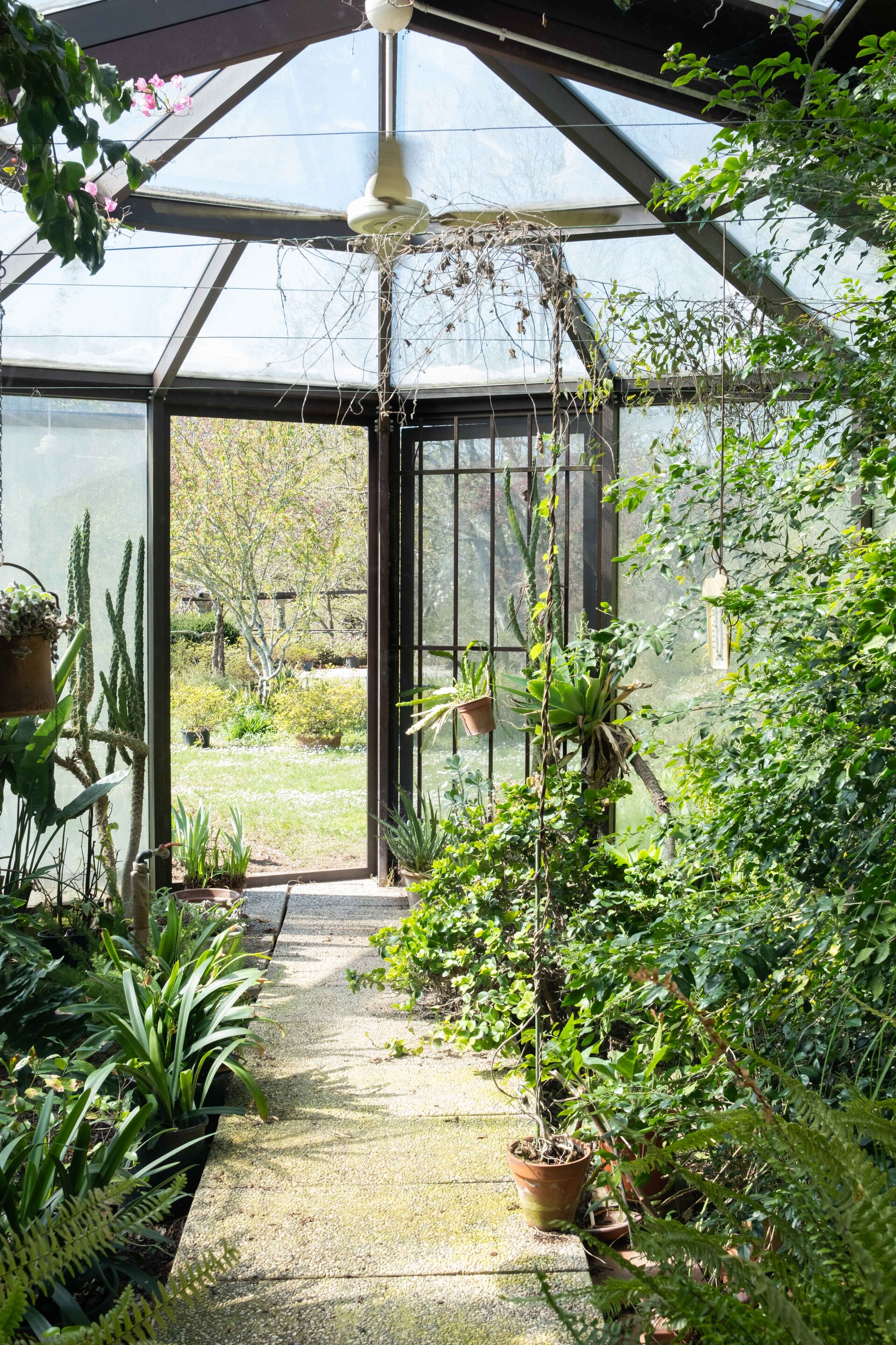 Giardino Viatori, Courtesy della propriet�