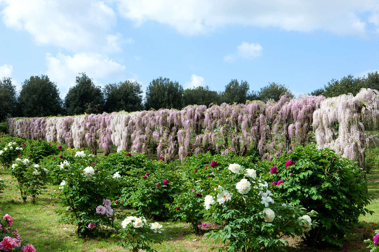 Grandi Giardini Italiani
