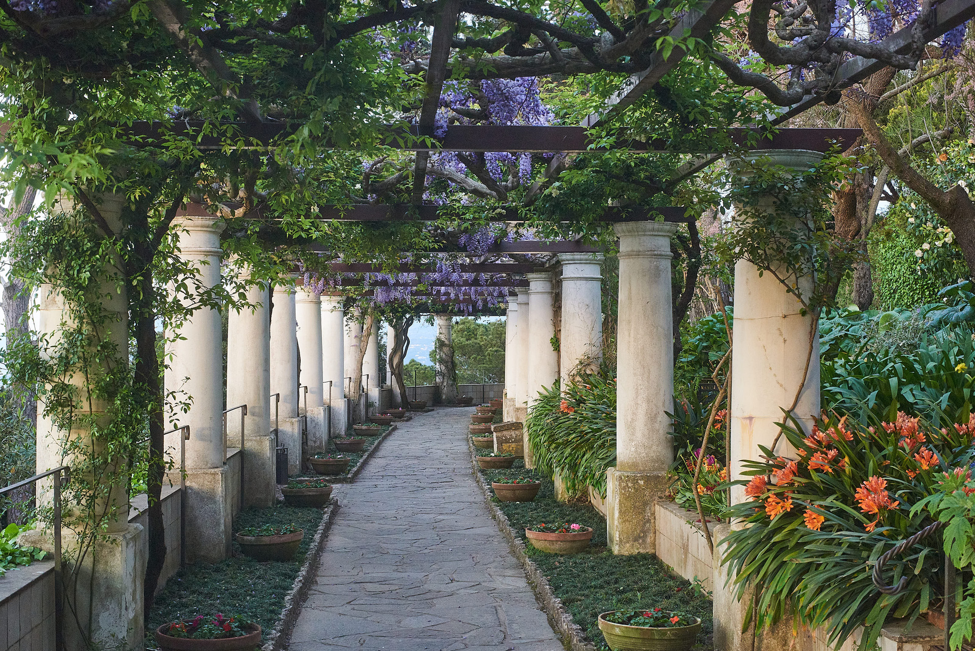 Villa San Michele 