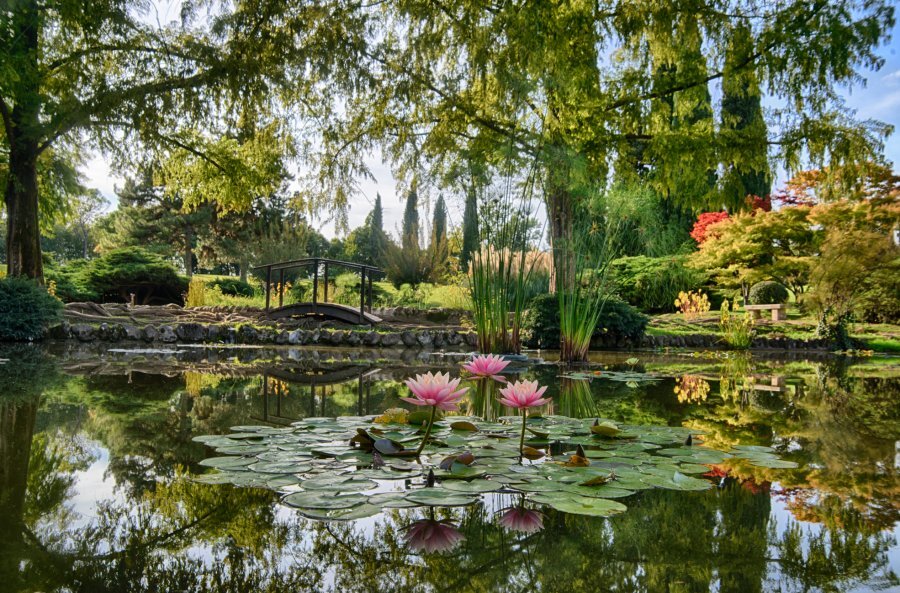 Podcast Grandi Giardini Italiani. La voce dei protagonisti